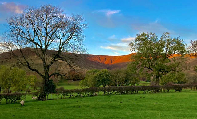 Late afternoon sunlight casting a warm glow on the distant hills.